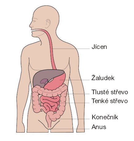 jícen